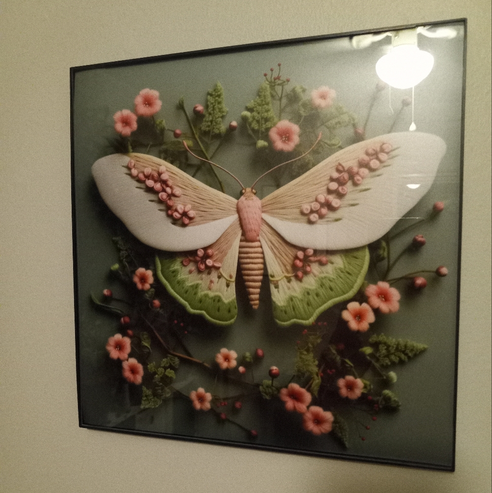 12×12 framed moth picture
